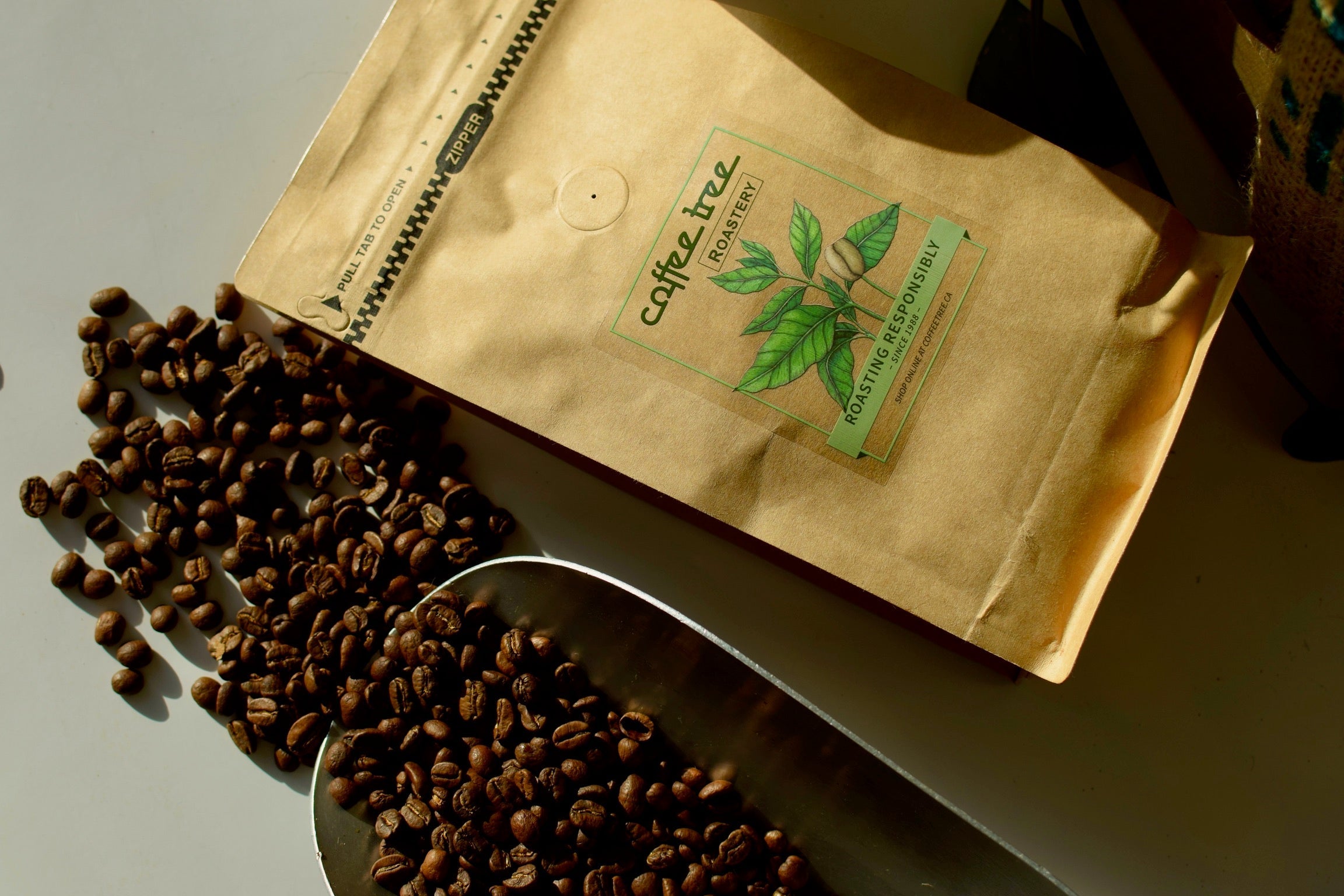 How to Store Your Coffee Properly