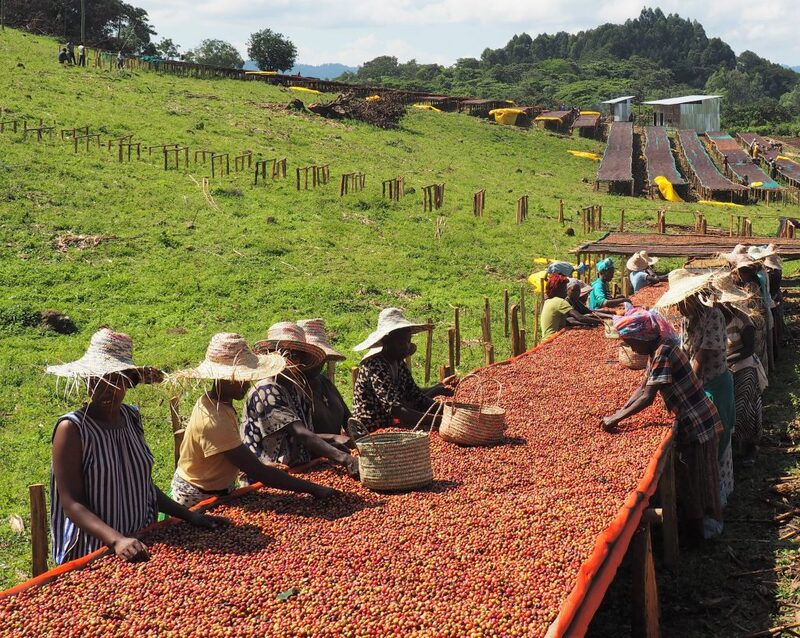 Ethiopia Lekempti