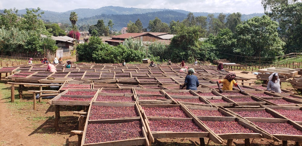 Ethiopia Lekempti
