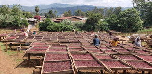Ethiopia Lekempti