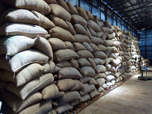 Ethiopia Lekempti